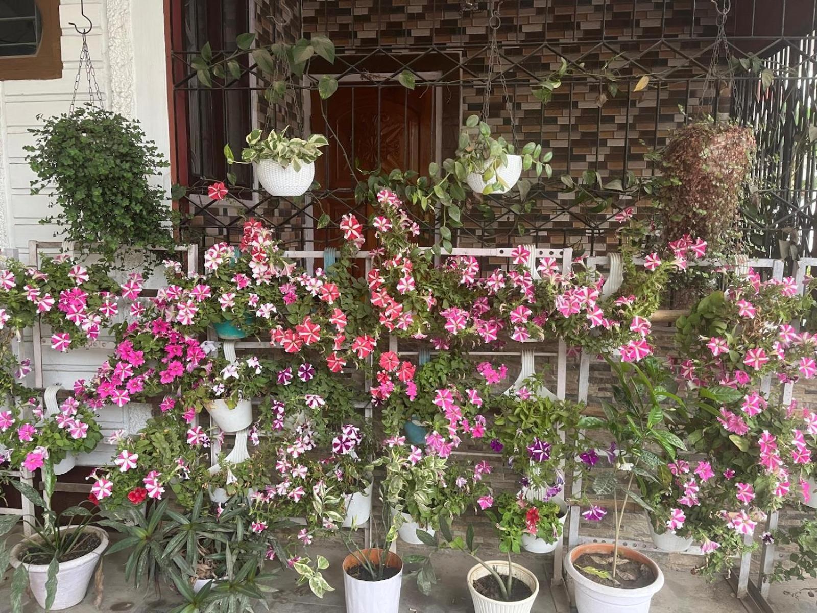 Amazing Homestay Guwahati Exterior photo
